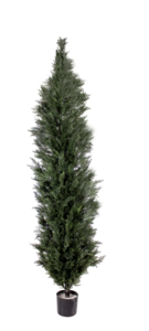 6 Foot Outdoor UV CEDAR TREE