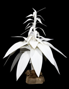 2 feet Canvas Flame Bromeliad Plant in Painted or Natural Colors