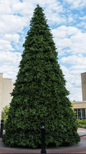 24' x 156" Pine Tower Artificial Christmas Tree, Warm White Single Mold LED Lights