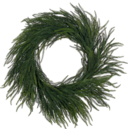 28" Green Norfolk Pine Wreath. It measures 28 inches wide