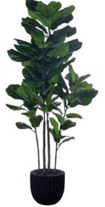 72" UV Outdoor/Indoor Green Fiddle Leaf Potted Plant With Pot Shown