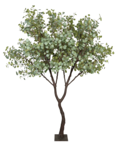 9 Foot Tall 6 Foot Wide Large Exotic Artificial  Eucalyptus Tree