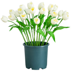 24 Inch Outdoor UV Resistant Artificial Tulip Plant (Indoor/Outdoor)