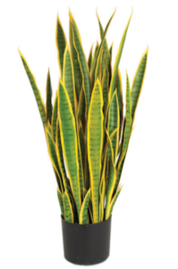 39 inches Plastic Sanseveria Plant - Green/Yellow
