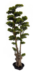 41" Outdoor UV Cypress Bonsai Tree