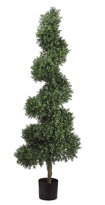 ef-44  5.5 feet Outdoor Spiral Boxwood Topiary 20 inches Thick