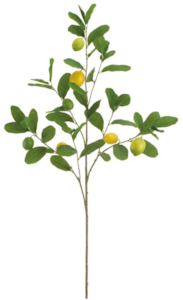 47" Lemon Spray  Yellow Green