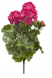 17" Polyblend Outdoor Geranium Bush Beauty Fuchsia