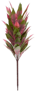 Pink/Green 
