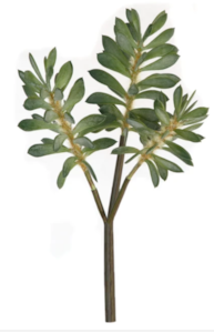 12" Green Succulent Bush