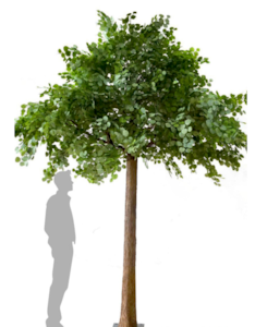 12 Foot Artificial  Tall Dark Green Eucalyptus Life-Sized Tree