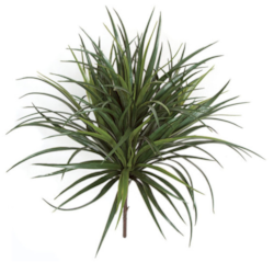 28 inches Outdoor Polyblend Liriope - Tutone Green