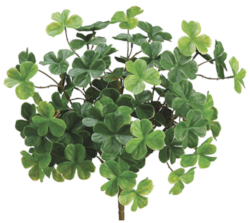 11" Tall 10" Wide Clover Bush  Green **12 pc min order