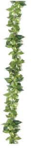 9 Foot Firesafe Variegated Pothos Garland