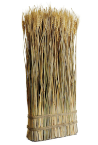 23.6" Preserved Wheat/Grass Standing Twig Natural