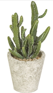 12.5 inches Potted Mini Cactus - Weathered Ceramic Pot