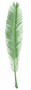 39 Inch Outdoor UV RESISTANT Outdoor  PALM FROND - LIGHT GREEN LEAVES