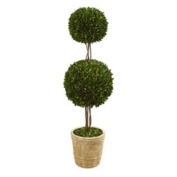 4' Preserved Boxwood Double Ball Topiary Tree in Planter