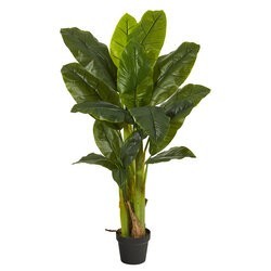 4 feet Triple Stalk Banana Tree (Real Touch)