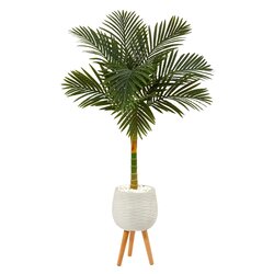 5’ Golden Cane Artificial Palm Tree In White Planter With Stand