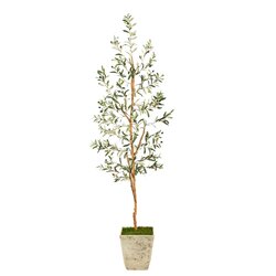70” Olive Artificial Tree In Country White Planter
