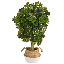 4' Schefflera Artificial Tree in Boho Chic Handmade Cotton & Jute White Woven Planter (Real Touch...