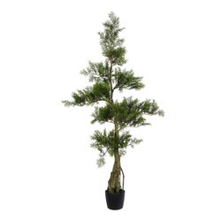 4' Potted Cedar Tree 208Lvs