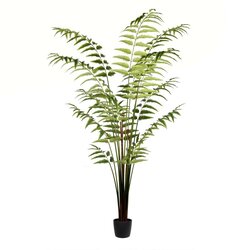 7' Potted Leather Fern 279 Leaves