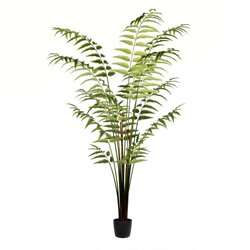 7' Potted Leather Fern 279 Leaves