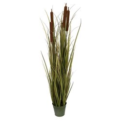 48" Brown Cattail Grass in Iron Pot