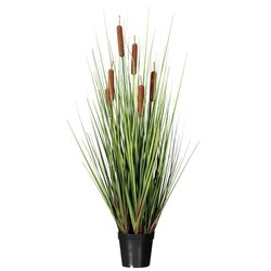 36" Grass with 6 Cattails Potted