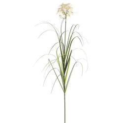 48" Dandelion Grass in Pot