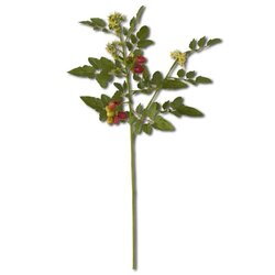 32 INCH REAL TOUCH TOMATO STEM W/BLOSSOMS