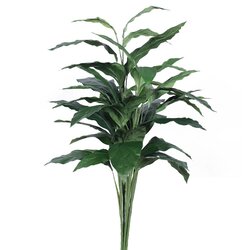 3 feet Spathiphyllum Plant  W/40 Lvs