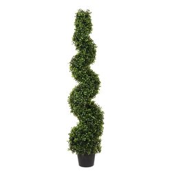 4' Boxwood Spiral In Pot UV