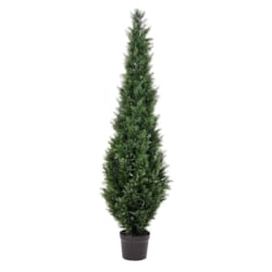 6' Potted Cedar Tree UV