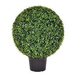 24 inches Outdoor Boxwood Ball In Pot UV