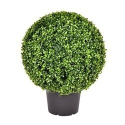 20 inches Outdoor  Boxwood Ball In Pot UV