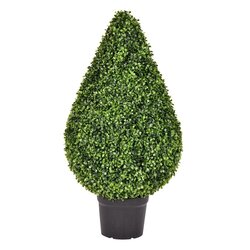 36" Boxwood Teardrop Shaped In Pot UV