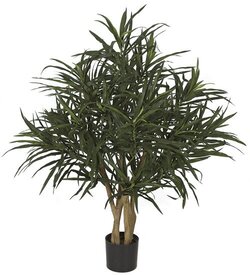 Foot Firesafe Dracaena Reflexa Tree