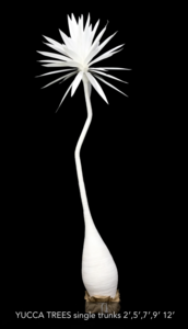 2 feet 5 feet 7 feet 9 feet Natural or Painted Canvas Yucca Tree