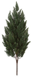 41 inches Outdoor Polyblend Medium Cypress - 12" to 16 inches Width - Green - Bare Stem