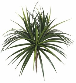 28 feet Outdoor  Grass Liriope - 104 Leaves - Tutone Green - Bare Stem