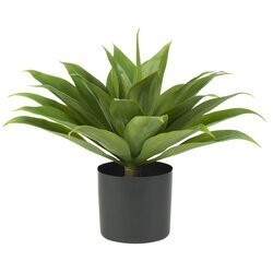 25 inches Indoor/Outdoor  Agave  Plant with base