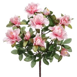 13 inches Azalea Bush   Pink