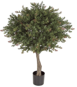33 inches Plastic Outdoor Wintergreen Boxwood Topiary - Natural Trunk - 24 inches Width - Green/R...