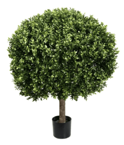 28 Inches Wide X 34 Inches Tall POTTED TOPIARY BOXWOOD BALL Indoor/Outdoor