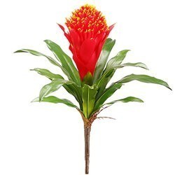 14 inches Bromeliad Spray  Flame