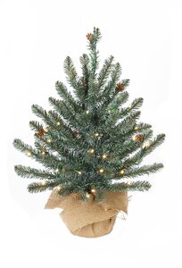 2' Blue Fir Table-Top Tree | Battery Operate LED Lights