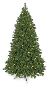 7.5 feet Westford Pine - Medium Size - Green Tips - 700 Clear Lights